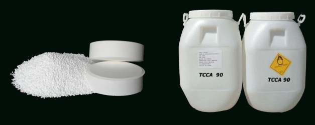 Chlorination chlorine Feeder and TCCA 90%